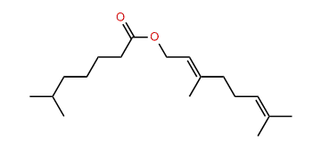 (E)-3,7-Dimethyl-2,6-octadienyl 6-methylheptanoate